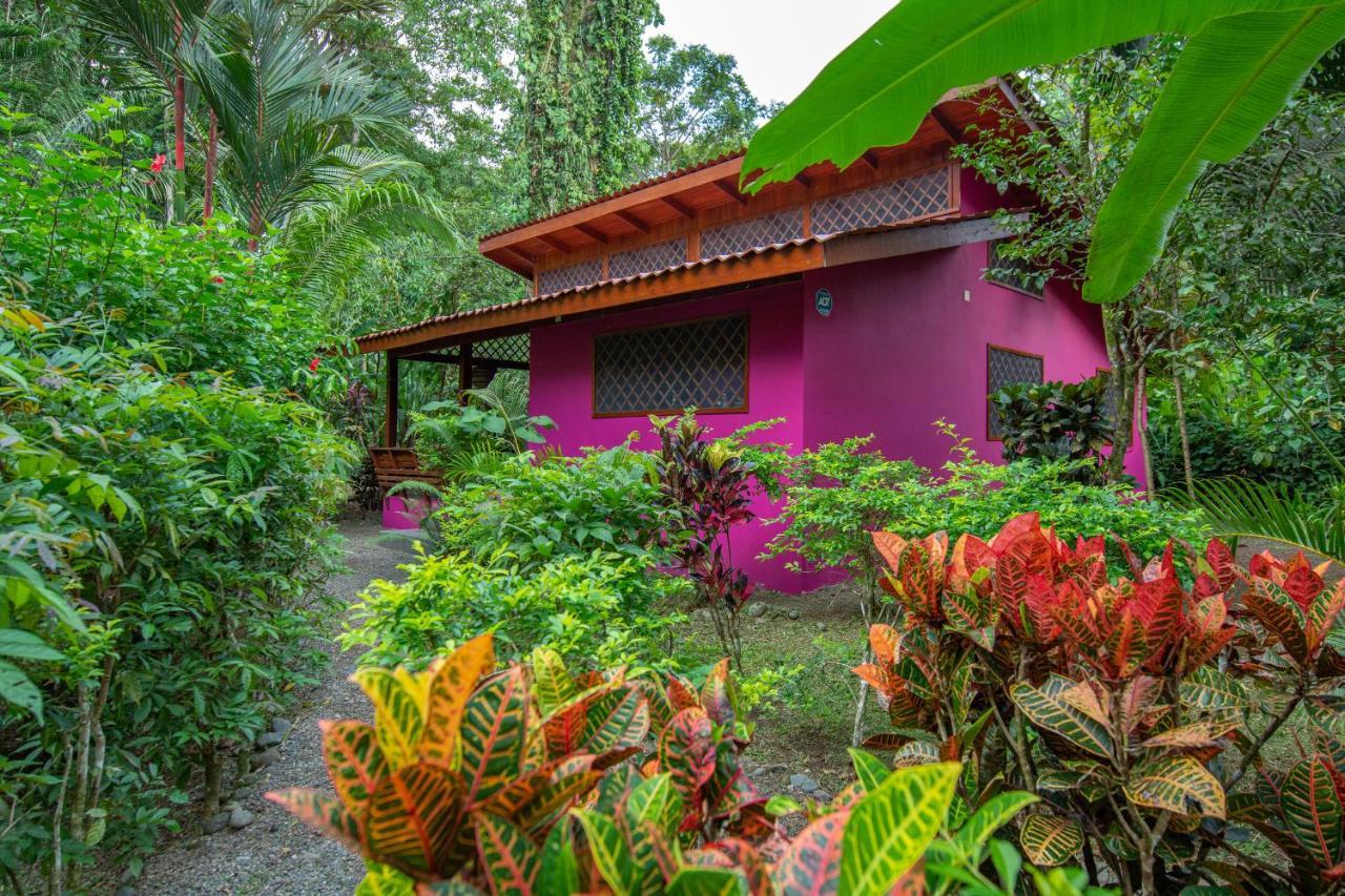 Villa Pina Dorada Dependencia Del Hotel Casa Merlin Puerto Viejo de Talamanca Eksteriør billede
