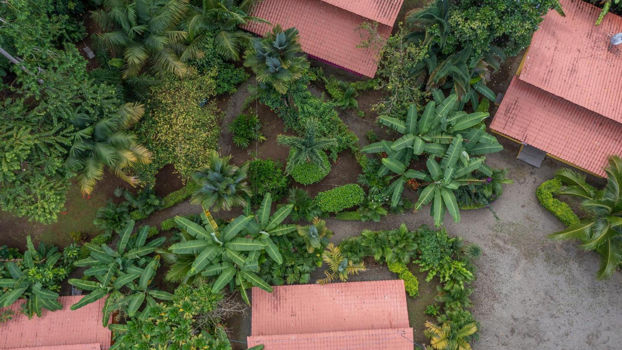 Villa Pina Dorada Dependencia Del Hotel Casa Merlin Puerto Viejo de Talamanca Eksteriør billede