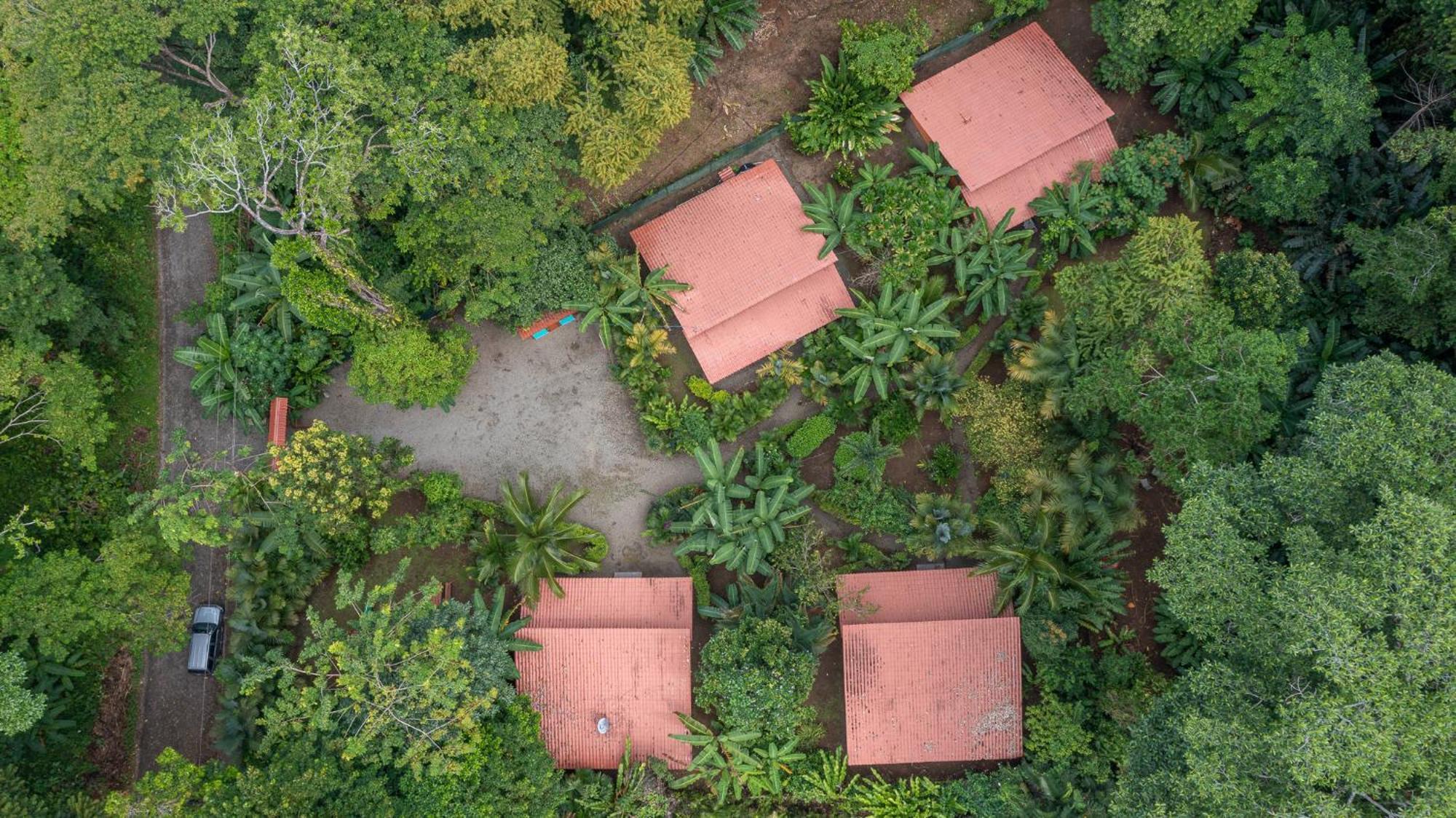 Villa Pina Dorada Dependencia Del Hotel Casa Merlin Puerto Viejo de Talamanca Eksteriør billede