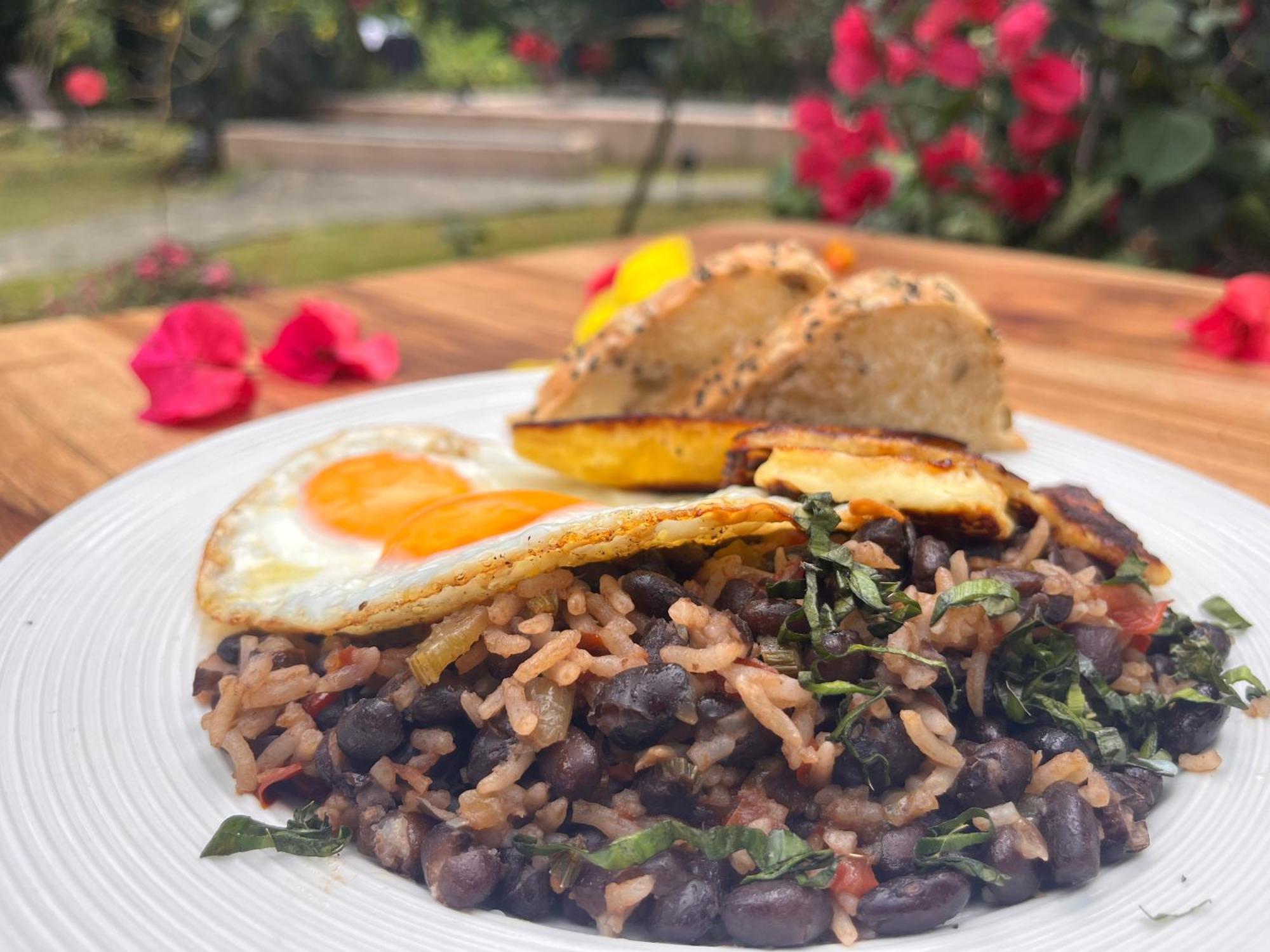 Villa Pina Dorada Dependencia Del Hotel Casa Merlin Puerto Viejo de Talamanca Eksteriør billede