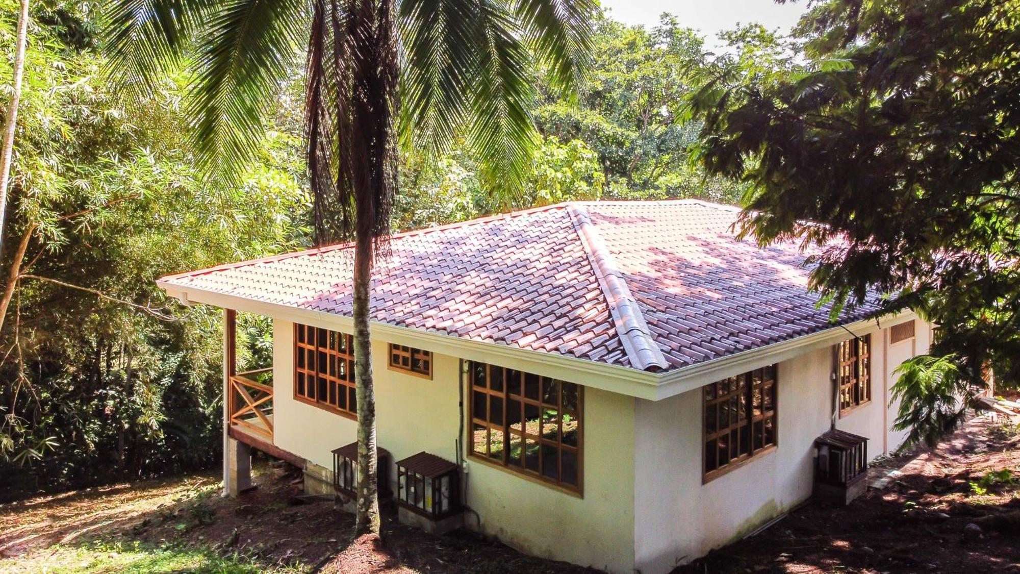 Villa Pina Dorada Dependencia Del Hotel Casa Merlin Puerto Viejo de Talamanca Eksteriør billede